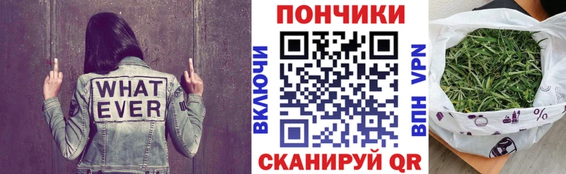 Что такое Владимир ГАШ  Alpha PVP  Меф  кракен онион  Каннабис 