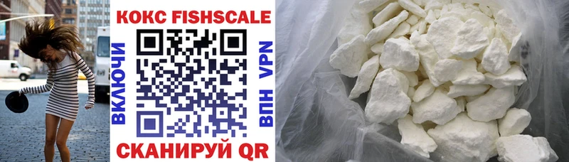 Cocaine Fish Scale продажа наркотиков Владимир