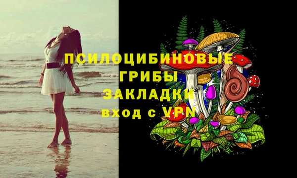 гидра Нягань