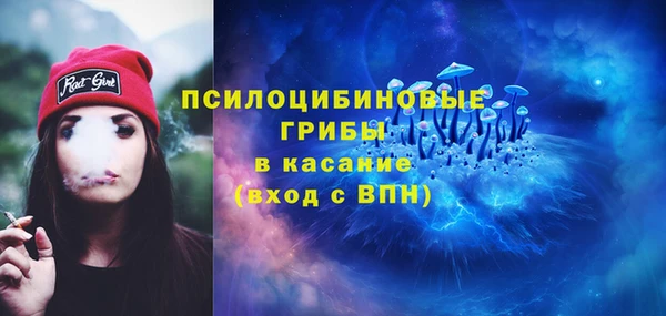 трава Нязепетровск