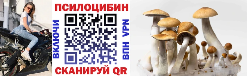 цены   Владимир  Псилоцибиновые грибы Cubensis 