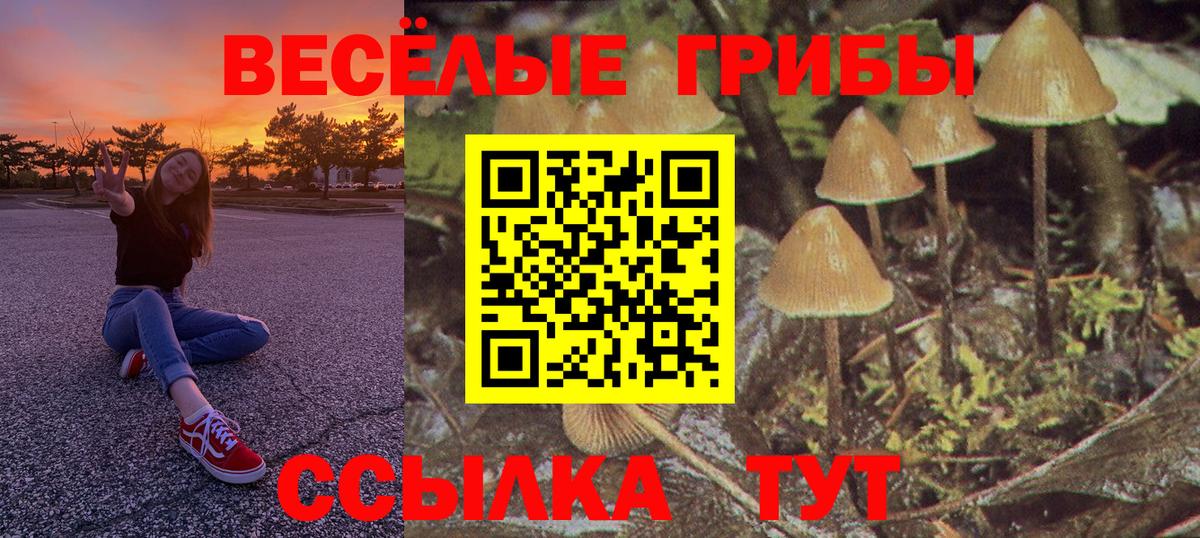 Псилоцибиновые грибы ЛСД  Вход с VPN  Владимир 