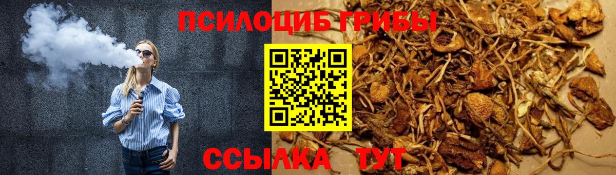 Галлюциногенные грибы мухоморы Владимир