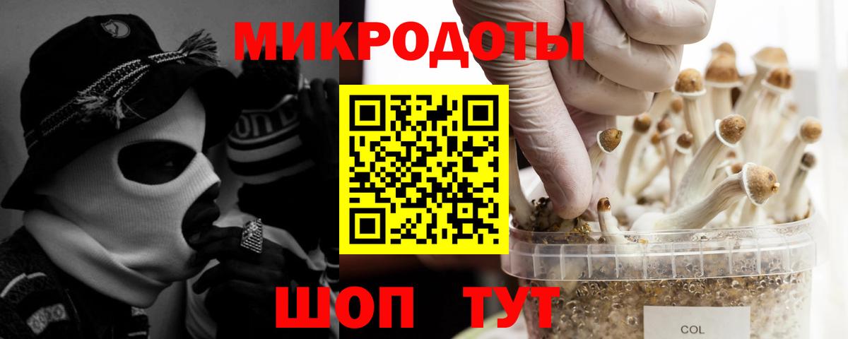 Галлюциногенные грибы GOLDEN TEACHER  Владимир 